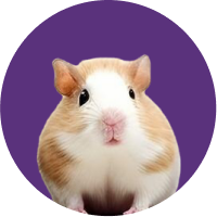 Male životinje mask