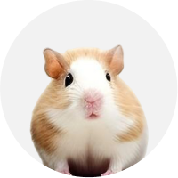 Kategorija Male životinje