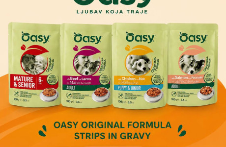 Oasy nam donosi nešto novo
