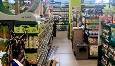 Zoo Centar Robot Socijalno
