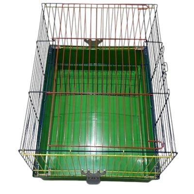 Domus Molinari kavez za glodare 70x40x50cm plavi,crveni,zeleni
