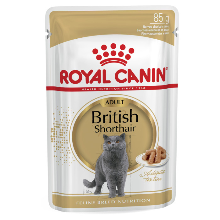 Royal Canin British Shorthair - hrana za mačke 85g