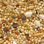 Manitoba Agapornis - hrana za srednje papige 1kg