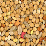 Manitoba Cocorite - hrana za tigrice papige 1kg