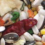 Manitoba Tropical Big Parrots - hrana za velike tropske papige 2kg