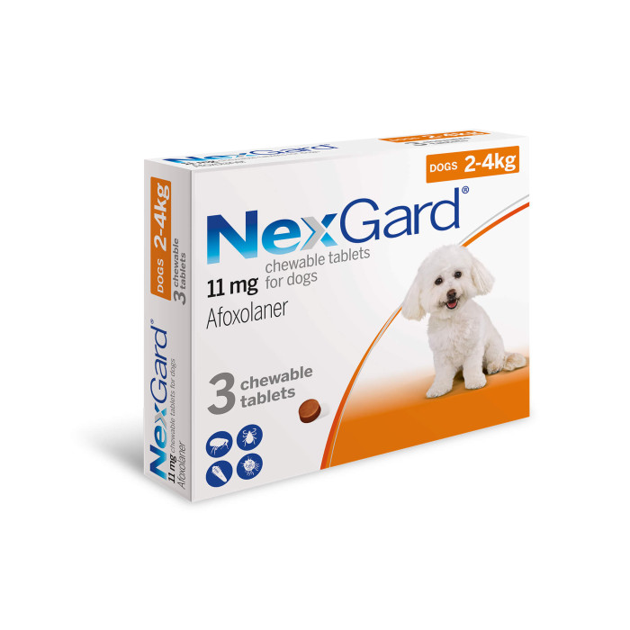 NEXGARD 11mg zaštita od nametnika za pse 2-4kg / 1 poslastica za žvakanje