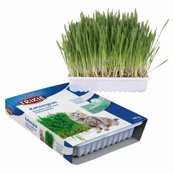 Trixie Cat Grass trava u posudi za mačke 100g