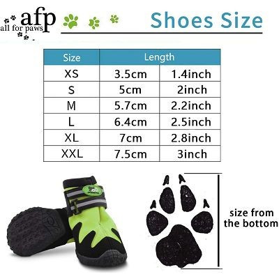 All for Paws Outdoor All Road cipele za pse XL / 2 para