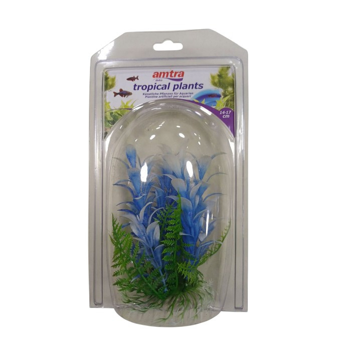 Croci tropsko bilje za akvarij 14-17cm mix