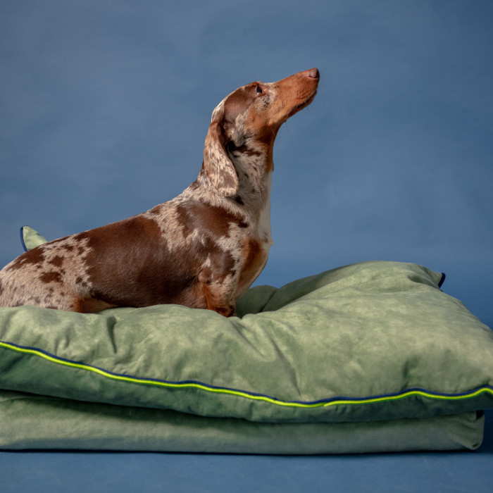 Mushmallow Premium ležaljka / krevet za pse u nekoliko varijanti boja, S - 40x60cm