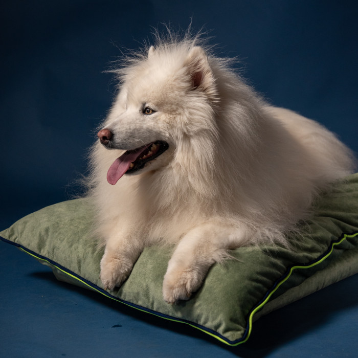 Mushmallow Premium ležaljka / krevet za pse u nekoliko varijanti boja, S - 40x60cm