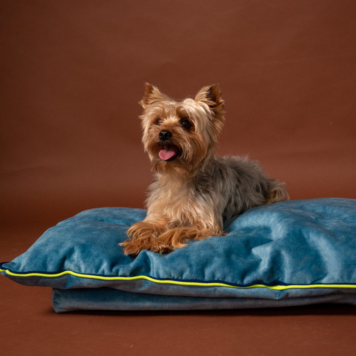 Mushmallow Premium ležaljka / krevet za pse u nekoliko varijanti boja, L - 60x80cm