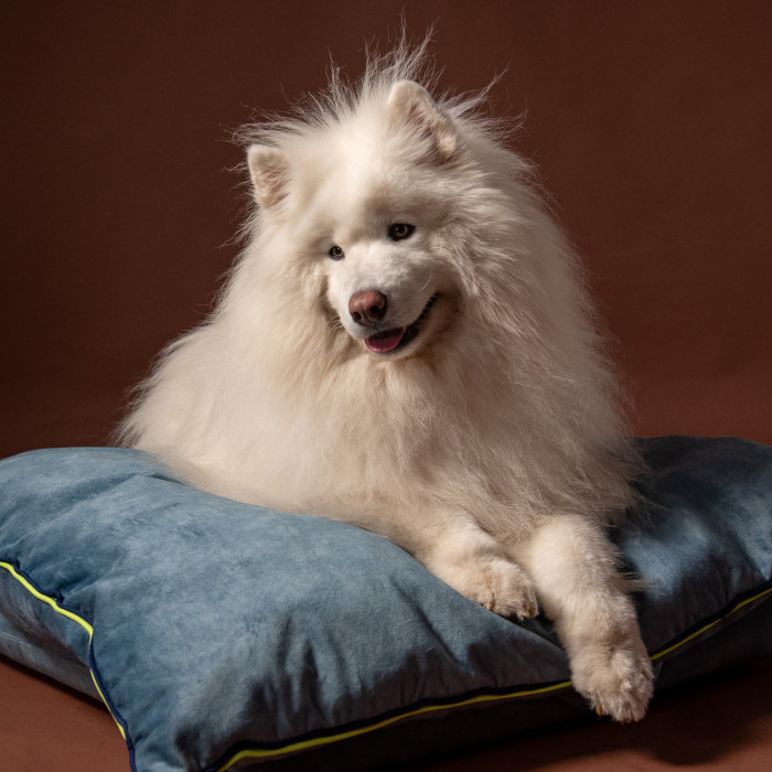Mushmallow Premium ležaljka / krevet za pse u nekoliko varijanti boja, L - 60x80cm