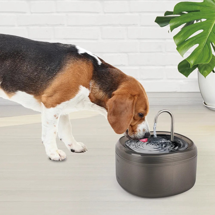 All For Paws fontana za vodu za pse i mačke 3 litra