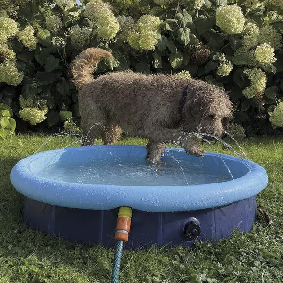 Nobby Splash 2 u 1 bazen za pse 160x30/25cm plavi