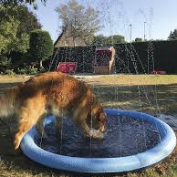 Nobby Splash bazen za pse M 100cm plavi