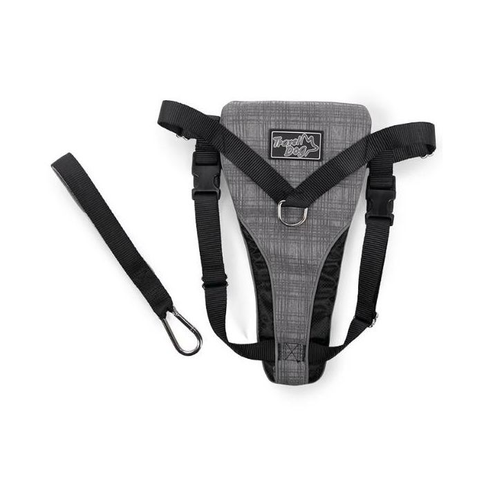 All for Paws prsnik za psa L