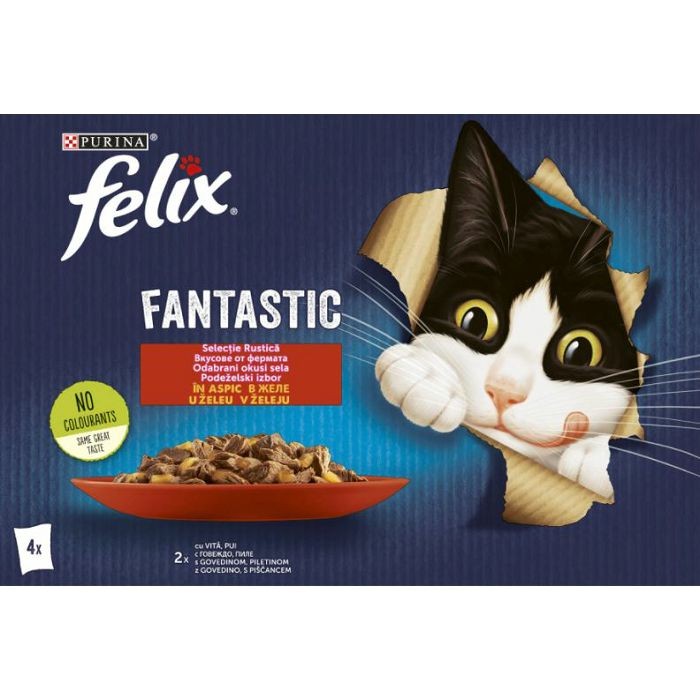 Felix Fantastic hrana za mačke govedina i piletina u želeu 4 x 85 g