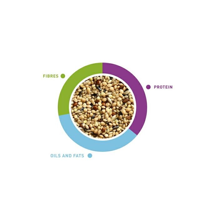 Padovan NaturalMix esotici hrana za egzotične ptice 1kg