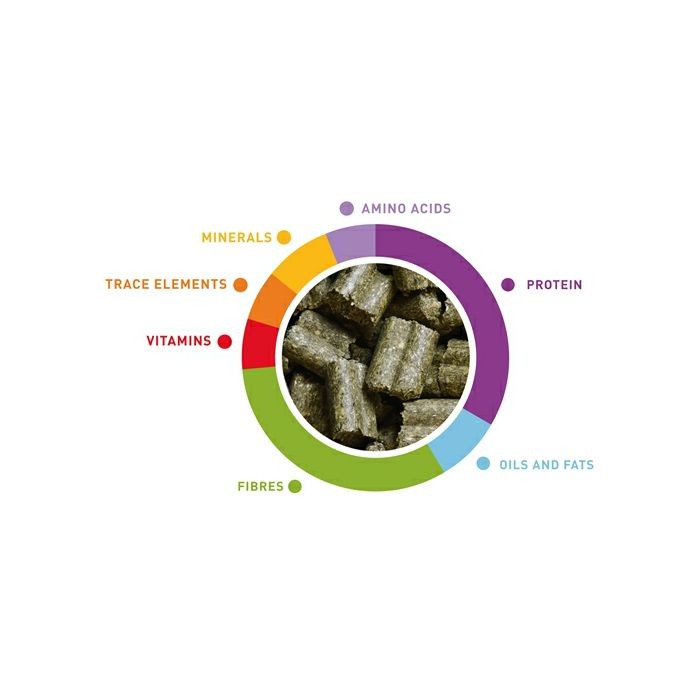 Padovan Wellness adult dwarf rabbits hrana za patuljaste zečeve 1kg