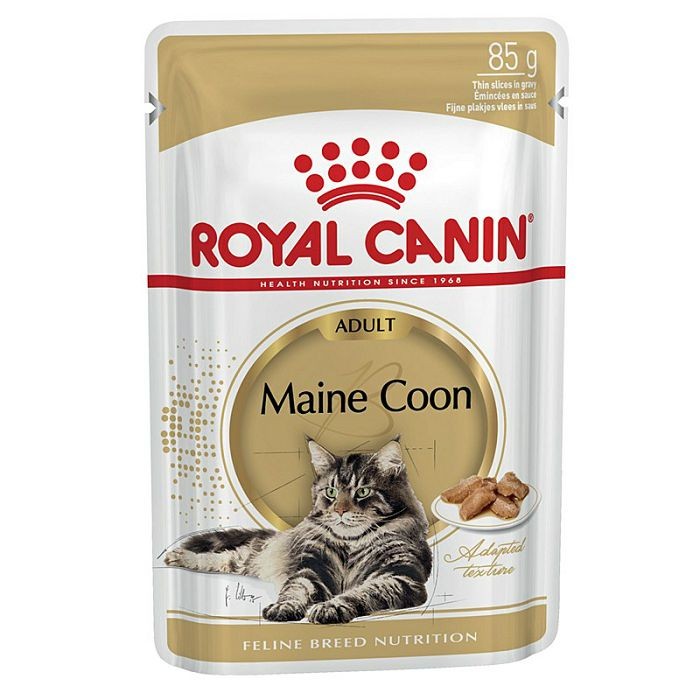 Royal Canin Maine Coon hrana za mačke 85 g