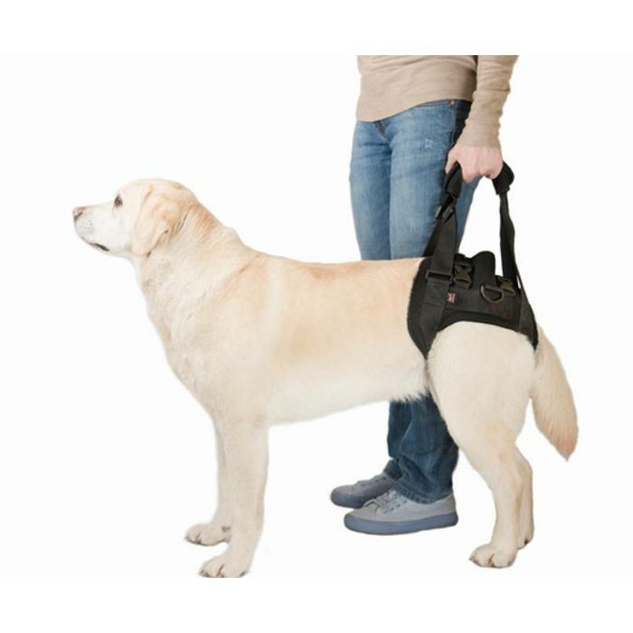 Trixie pomoćni pojas za pse 65-75cm