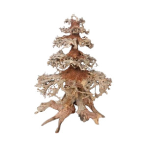 Croci Oriental drvo dekoriacija za akvarij