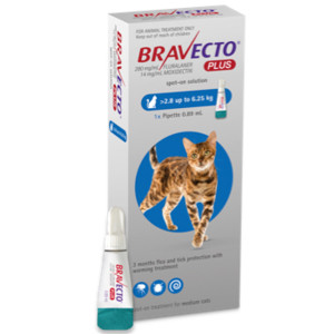 BRAVECTO PLUS zaštita za mačke težine 2,8-6,25kg / 1 pipeta