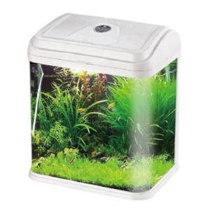 Akvarij RS-230EL 23x17x28cm LED 2W mix boja