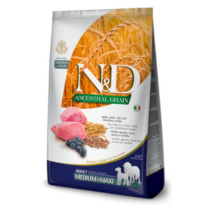 N&D Adult Medium & Maxi Ancestral Grain - janjetina i borovnica suha hrana za pse 2,5kg