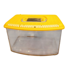 Domus Molinari veliki akvarij sa poklopcem 29x16x19cm