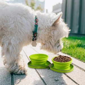 All for Paws silikonska dupla posuda za pse sa zatvaračem zelena