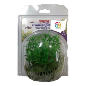 Croci Amtra tropsko bilje 8cm za akvarij