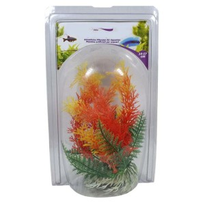 Croci tropsko bilje za akvarij 14-17cm