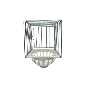 Domus Molinari gnijezdo