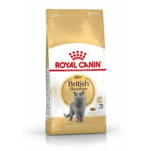 Royal Canin British Shorthair hrana za mačke 2 kg