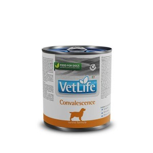 VetLife Convalescence - medicinska hrana za pse 300g