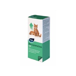 Viyo Recuperation za mačke 150ml