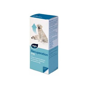Viyo Recuperation za pse 150ml