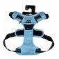 Croci Bobby Rando prsnik 15mm x 20-32cm XS plavi