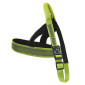 Croci Hiking Antishock prsnik za pse 38mm x 90-100cm zeleni