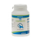 CANINA V25 vitaminske tablete za pse 100 g
