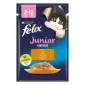 FELIX® JUNIOR sa piletinom u želeu hrana za mačiće 85g