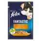 FELIX® FANTASTIC sa piletinom u želeu hrana za mačke 85g