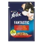 FELIX® FANTASTIC sa govedinom u želeu hrana za mačke 85g