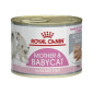 Royal Canin Mother & Babycat - hrana za mačke i mačiće 195g