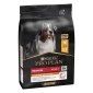PRO PLAN® EVERYDAY NUTRITION - bogato piletinom, suha hrana za pse 3kg