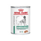 Royal Canin Diabetic Special - hrana u umaku za pse 410g