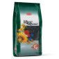 Padovan Niger Seed hrana za ptice 850g