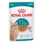 Royal Canin Aging 11+ Gravy komadići u sosu hrana za starije mačke 85g